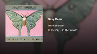 Navy Bean