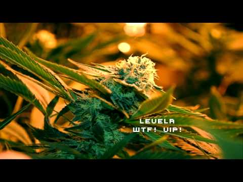 Levela vs Macky Gee - 2013 Mix