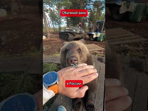 Обычный день в России (перевод Кэндис Оуэнс)