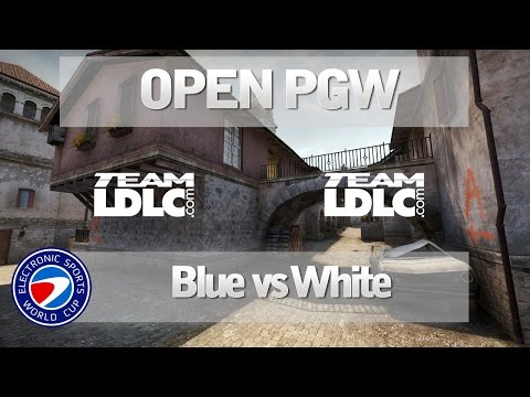 ESWC PGW 2015 Open CSGO - Finale LDLC White vs LDLC Blue FR
