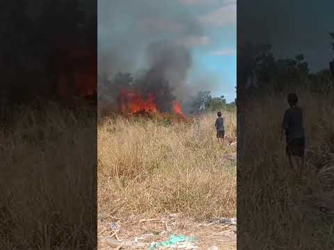 Incêndio atinge área de vegetação no Tropical Ville II, em Luís Eduardo Magalhães