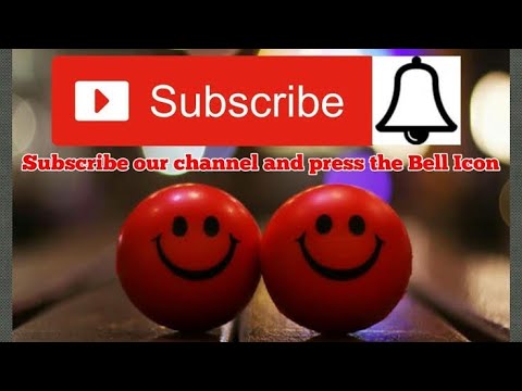 Why these monkeys stealing from tourists?|World's Sneakiest Animals/Why On Roads