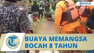 Video Detik-detik Perut Buaya Besar Dibedah, Ternyata Ada Mayat Bocah 8 Tahun Utuh, Warga Histeris