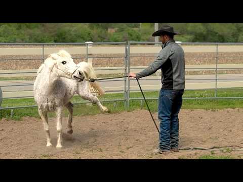 Pony KICKS everyone . . . here's how I fixed it