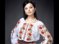Doina Sulac - Fata mea (guitar solo) 