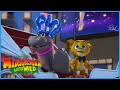 Happy New Year Madagascar A Little Wild DreamWorks Madagascar
