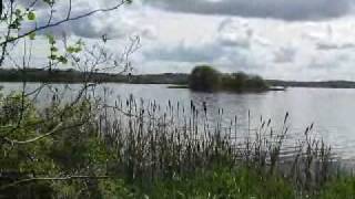 Virginia Cavan Ireland