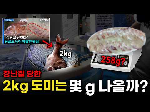 2kg 도미로 장난치는 횟집...이러니까 손님들이 의심하는 거예요