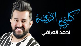 كلمات اغنية قلبي اذيته احمد العراقي