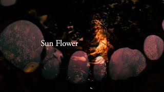 SPARKS GO GO「Sun Flower」Music Video