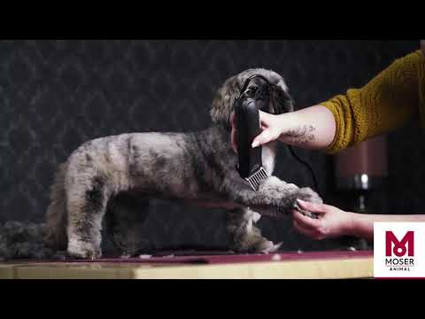 MOSER Max45  Как подстричь собаку с толстой шерстью