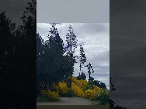 Cordillera de los Andes. Villa Traful. Neuquén