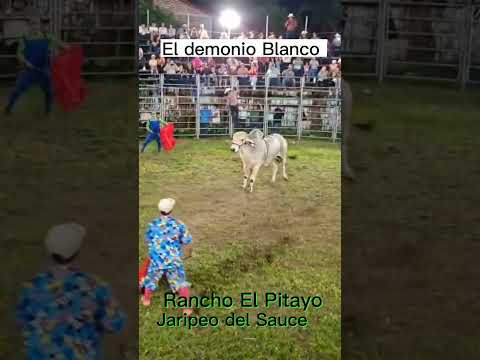 El Rey de los jaripeos, El Demonio Blanco, en El Sauce, La Unión Norte