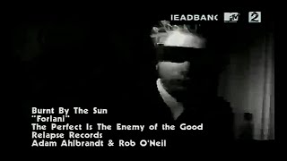 Burnt By The Sun - Forlani [Official Video]