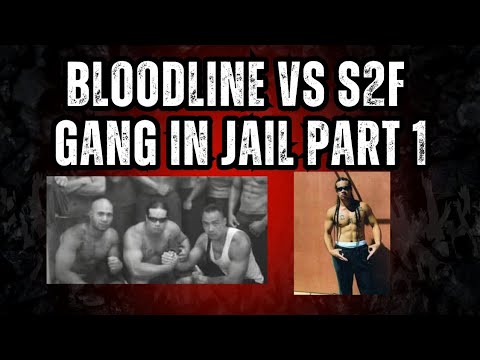 Peter vaiusu "triggz" pt1 - bloodline vs s2f gang in jail 