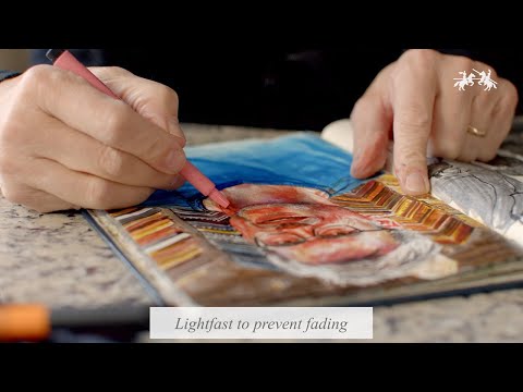 Pitt Artist Pen - episode 6: India ink | Faber-Castell