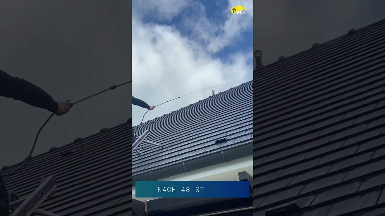 Wie schützen Sie Ihr Dach vor dem Eindringen von Wasser?