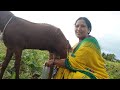 Viral Milk Making ️