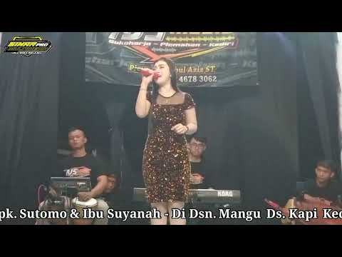 Lyta Agustin - Bimbang || Cover New AJS Music || AJS Audio || Live Mangu ,Kapi ,Kunjang Kediri