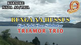 Download lagu KARAOKE BUNGA NA HUSSUS NADA PRIA TRIAMOR TRIO mp3