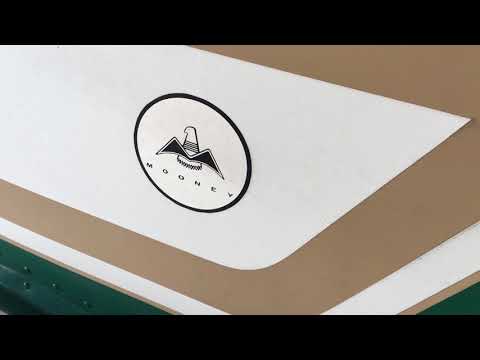 Borders - Mooney M20C Walk Around