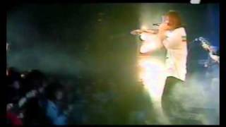 Houk   Natural Way Live