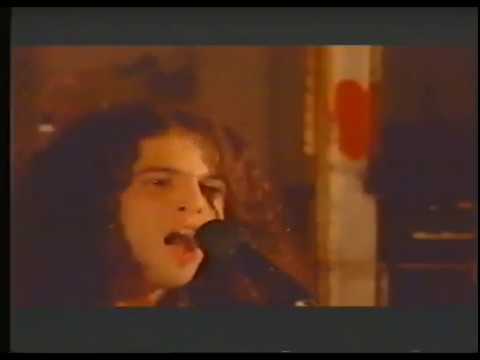 Dharma Bums - Far From Gone