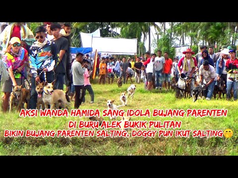 buru alek bukik pulitan ||aksi wanda hamida gadis parenten sumbar dan team parenten sumbar||