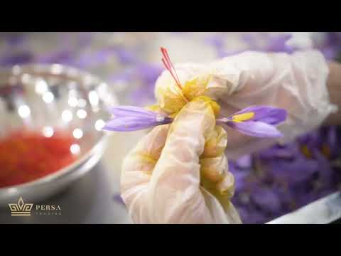 How do you detect the strength of coloring, aroma, and taste of saffron?