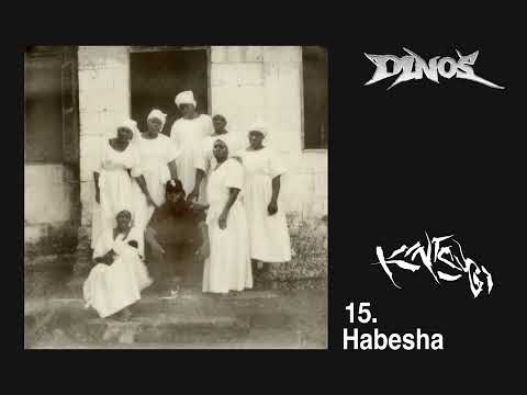 Video thumbnail for HABESHA