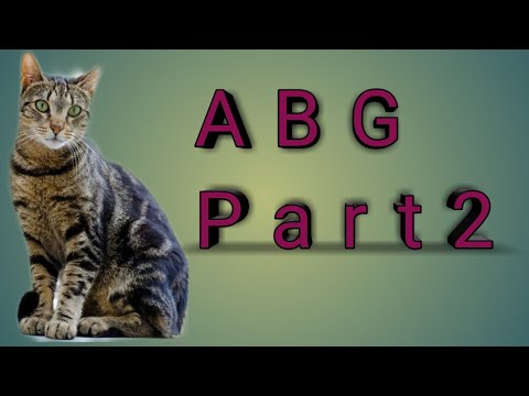 ABGs(Part 2)