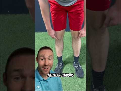 Fixing Knee Pain FAST!🤯