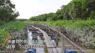 米埔自然保護區紅樹林浮橋