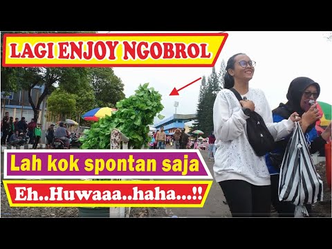 tertawa-kocak-kaget-by-bushman-prank-prank-manusia-pohon