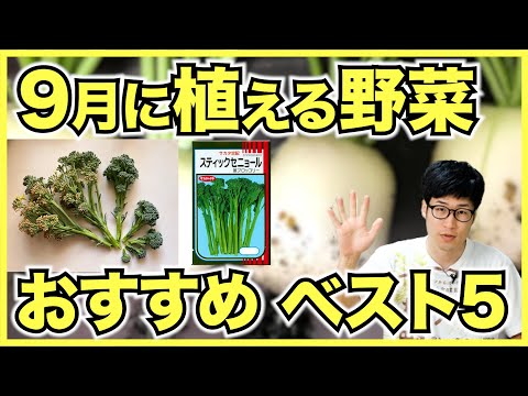  9月に植える野菜は何ですか？  庭園