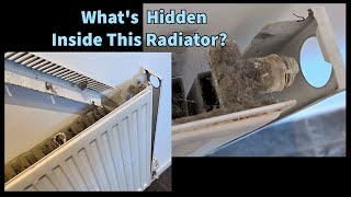 Preview of What's Hidden Inside This Radiator? 😱 Dust, Hair, Toys & More! | Deep Clean DIY 🛠✨.