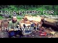 LOGS TOO BIG FOR THE SAWMILL