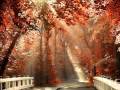 Temple One feat. Hannah Ray - Autumn Leaves ...