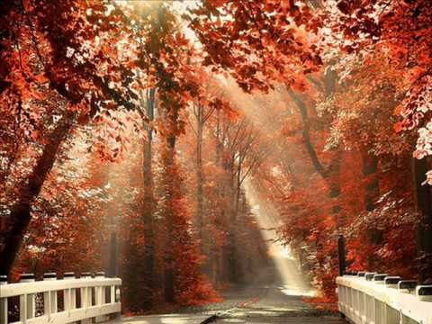 Temple One feat. Hannah Ray - Autumn Leaves (Original Mix)