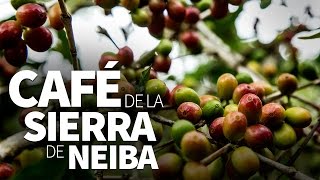 Café de la Sierra de Neiba