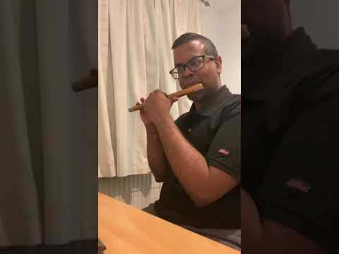 Heal the World | Michael Jackson | Covid-19 - Indian flute cover by Janahan