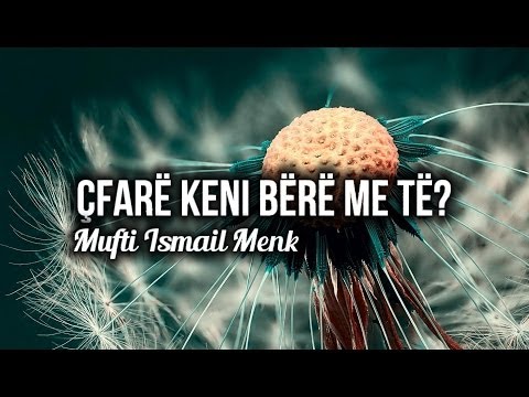 Çfarë keni bërë me të? ᴴᴰ┇Mufti Ismail Menk