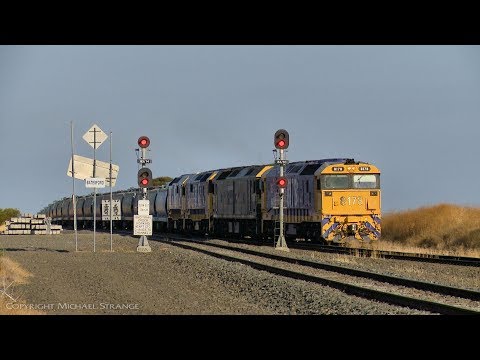 4CA5 Pacific National Grain Train (8/1/2020) - PoathTV Australian Railways