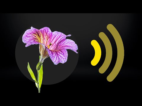 The world smells different now. That's a big problem.