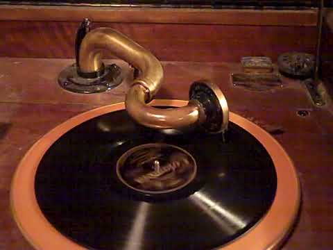 BEN SELVIN KNICKERBOCKERS VIVA-TONAL - ONE SUMMER NIGHT - ROARING 20's VICTROLA 8-30