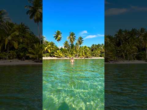 Paraíso en bocas del toro snorkel #panama #shorts