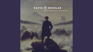 Douglas Firs