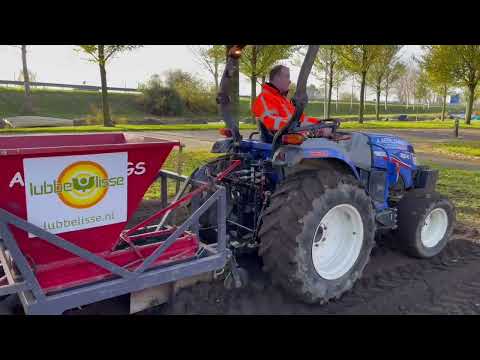 Zomerbloeiende bolgewassen | Lubbe Lisse