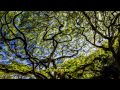 Plumb - Need You (How Many Times) (Bryan ...