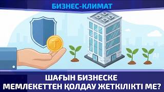 Шағын бизнеске мемлекеттен қолдау жеткілікті ме?